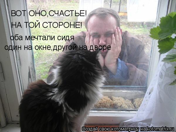 ВОТ ОНО,СЧАСТЬЕ! НА ТОЙ СТОРОНЕ! оба мечтали сидя один на окне,другой на дворе... Котоматрица: ВОТ ОНО,СЧАСТЬЕ! НА ТОЙ СТОРОНЕ! оба мечтали сидя один на окне,другой на дворе