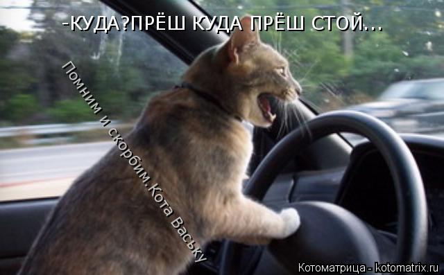 -КУДА?ПРЁШ КУДА ПРЁШ СТОЙ... Помним и скорбим.Кота Ваську... Котоматрица: -КУДА?ПРЁШ КУДА ПРЁШ СТОЙ... Помним и скорбим.Кота Ваську