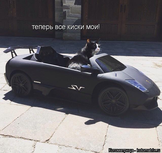 теперь все киски мои!... Котоматрица: теперь все киски мои!