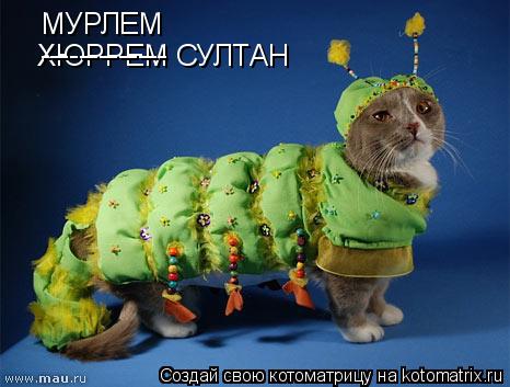 ХЮРРЕМ СУЛТАН МУРЛЕМ -------------... Котоматрица: ХЮРРЕМ СУЛТАН МУРЛЕМ -------------