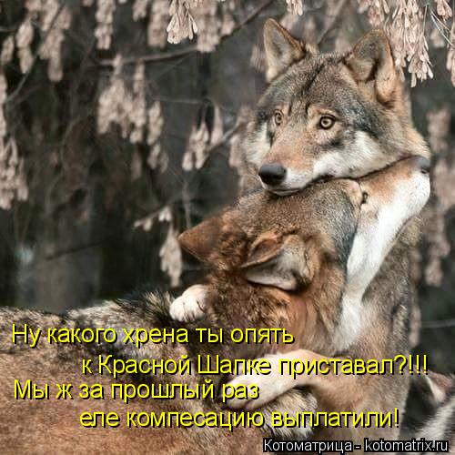 Ну какого хрена ты опять к Красной Шапке приставал?!!! Мы ж за прошлый раз еле компесацию выплатили... Котоматрица: Ну какого хрена ты опять к Красной Шапке приставал?!!! Мы ж за прошлый раз еле компесацию выплатили!