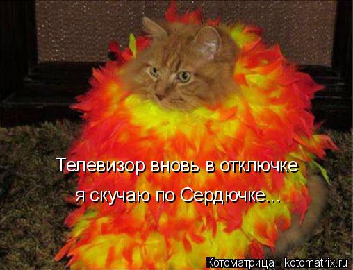 Телевизор вновь в отключке я скучаю по Сердючке...... Котоматрица: Телевизор вновь в отключке я скучаю по Сердючке...