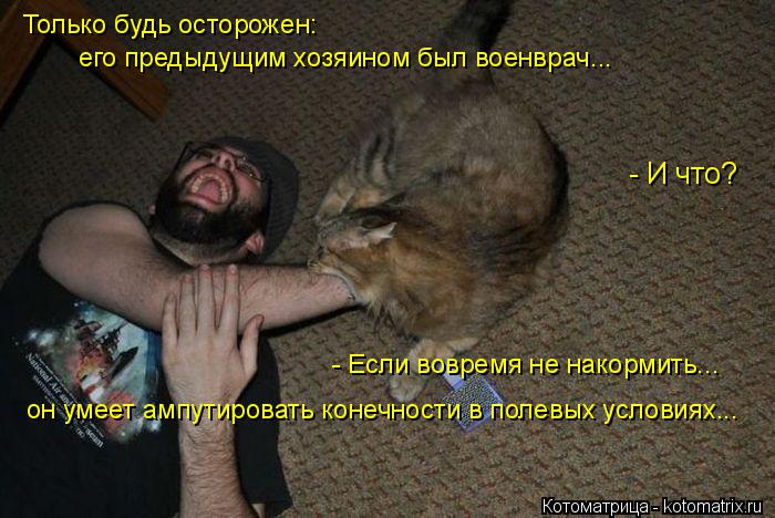 Только будь осторожен: его предыдущим хозяином был военврач... - И что? - Если вовремя не накормить..... Котоматрица: Только будь осторожен: его предыдущим хозяином был военврач... - И что? - Если вовремя не накормить... он умеет ампутировать конечности в полев