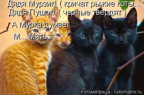 Дядя Мурзик! ( кричат рыжие коты... ) Дядя Пушок! ( черные твердят ) А Мурка думает... М... Мять....... Котоматрица: Дядя Мурзик! ( кричат рыжие коты... ) Дядя Пушок! ( черные твердят ) А Мурка думает... М... Мять....