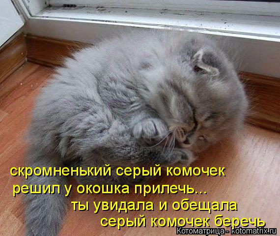 скромненький серый комочек серый комочек беречь решил у окошка прилечь... ты увидала и обещала... Котоматрица: скромненький серый комочек серый комочек беречь решил у окошка прилечь... ты увидала и обещала