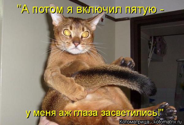 "А потом я включил пятую - у меня аж глаза засветились!"... Котоматрица: "А потом я включил пятую - у меня аж глаза засветились!"