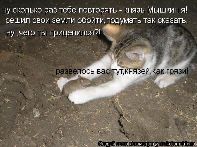 ну сколько раз тебе повторять - князь Мышкин я! решил свои земли обойти,подумать так сказать. ну ,чег... Котоматрица: ну сколько раз тебе повторять - князь Мышкин я! решил свои земли обойти,подумать так сказать. ну ,чего ты прицепился?! развелось вас тут,князе