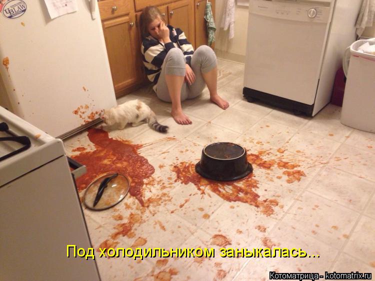 Под холодильником заныкалась...... Котоматрица: Под холодильником заныкалась...