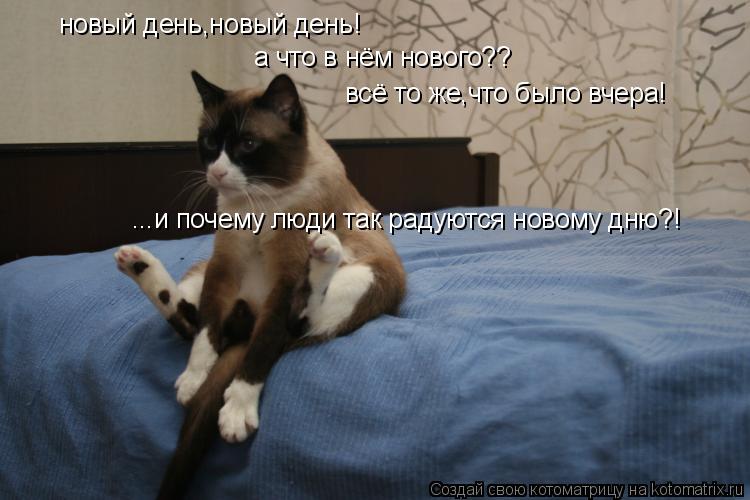 новый день,новый день! а что в нём нового?? всё то же,что было вчера! ...и почему люди так радуются ... Котоматрица: новый день,новый день! а что в нём нового?? всё то же,что было вчера! ...и почему люди так радуются новому дню?!