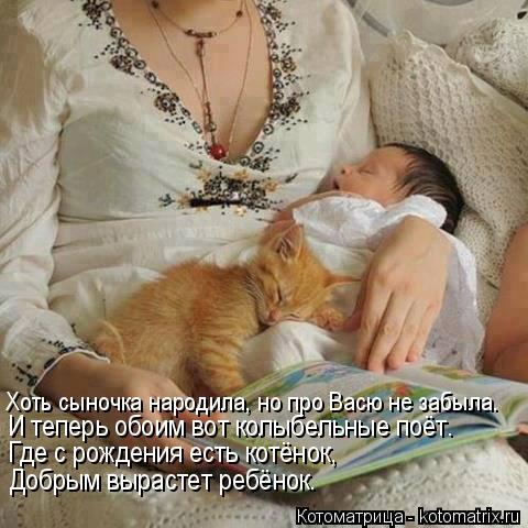 Хоть сыночка народила, но про Васю не забыла. И теперь обоим вот колыбельные поёт. Где с рождения ест... Котоматрица: Хоть сыночка народила, но про Васю не забыла. И теперь обоим вот колыбельные поёт. Где с рождения есть котёнок, Добрым вырастет ребёнок.