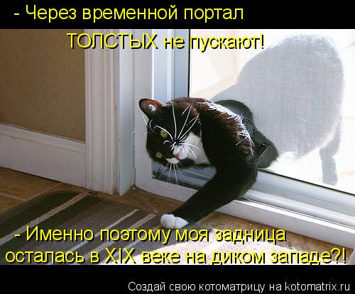 - Через временной портал ТОЛСТЫХ не пускают! - Именно поэтому моя задница осталась в XIX веке на дико... Котоматрица: - Через временной портал ТОЛСТЫХ не пускают! - Именно поэтому моя задница осталась в XIX веке на диком западе?!