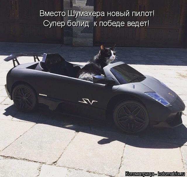 Вместо Шумахера новый пилот! Супер болид к победе ведет!... Котоматрица: Вместо Шумахера новый пилот! Супер болид к победе ведет!