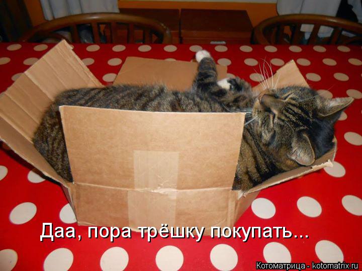 Даа, пора трёшку покупать...... Котоматрица: Даа, пора трёшку покупать...