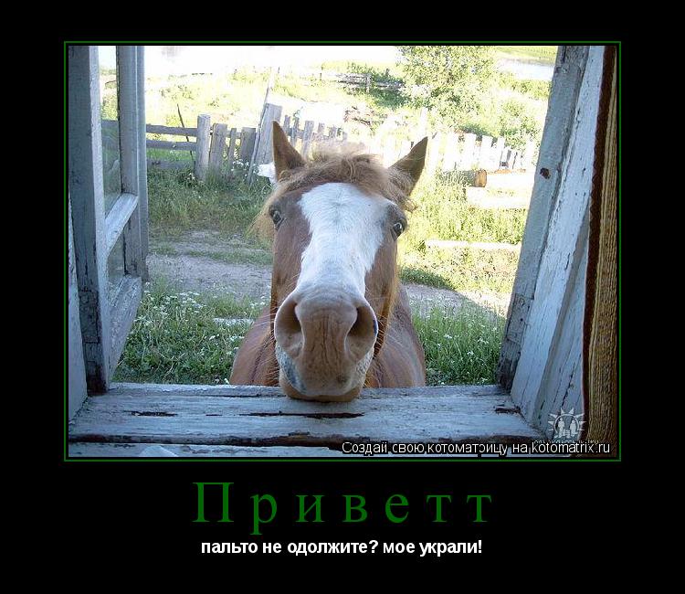 Котоматрица: Приветт пальто не одолжите? мое украли!