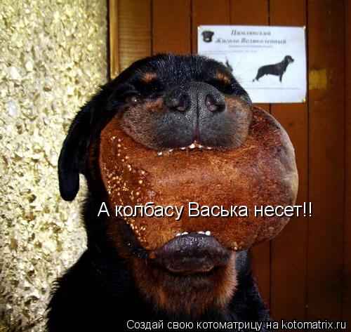 А колбасу Васька несет!!... Котоматрица: А колбасу Васька несет!!