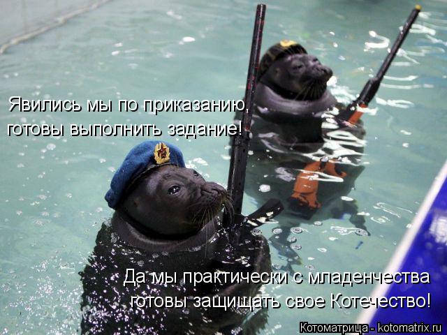 Котоматрица: Явились мы по приказанию, готовы выполнить задание! Да мы практически с младенчества готовы защищать свое Котечество!