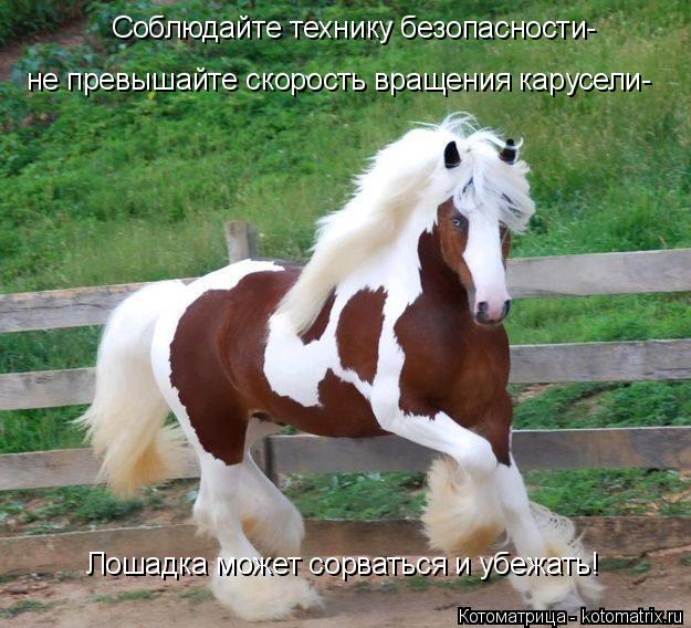 Котоматрица: Соблюдайте технику безопасности- не превышайте скорость вращения карусели- Лошадка может сорваться и убежать!