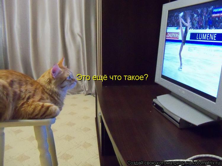 Котоматрица: Это ещё что такое?
