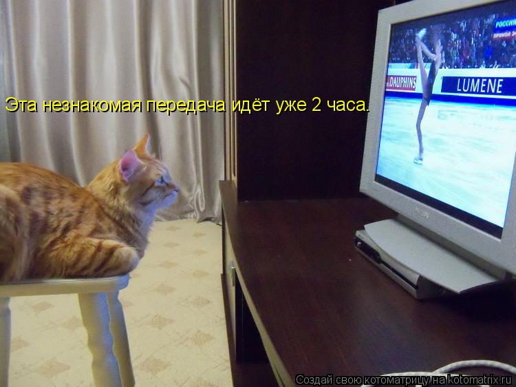 Котоматрица: Эта незнакомая передача идёт уже 2 часа.