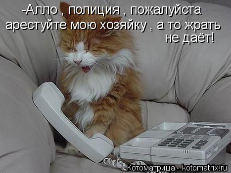 Котоматрица: -Алло , полиция , пожалуйста  арестуйте мою хозяйку , а то жрать не даёт!