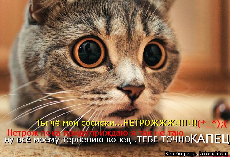 Котоматрица: Ты чё мои сосиски...НЕТРОЖЖЖ!!!!!!! (*_*);( Нетрож пока придуприждаю я так не таю ну всё моему терпению конец .ТЕБЕ ТОЧНО КАПЕЦ