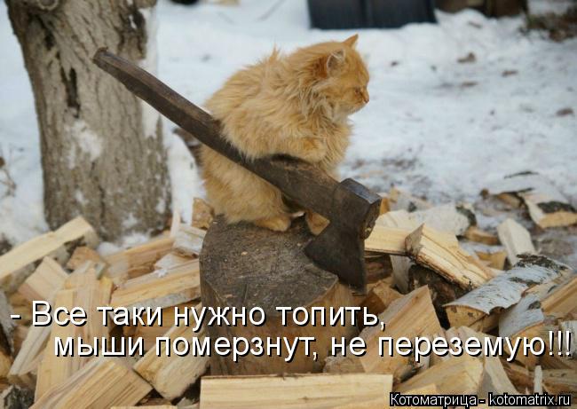 Котоматрица: - Все таки нужно топить,  мыши померзнут, не переземую!!!