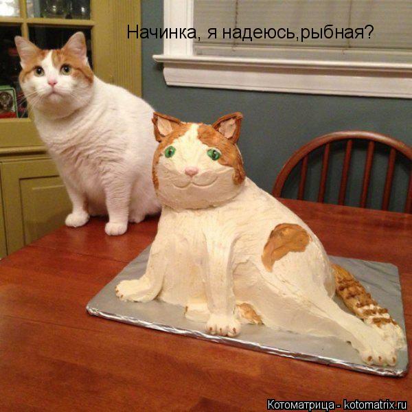 Начинка, я надеюсь,рыбная?... Котоматрица: Начинка, я надеюсь,рыбная?