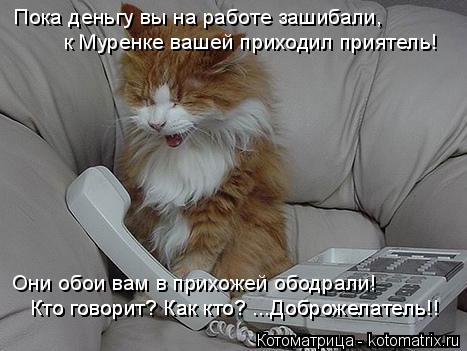 Котоматрица: Пока деньгу вы на работе зашибали, к Муренке вашей приходил приятель! Они обои вам в прихожей ободрали! Кто говорит? Как кто? ...Доброжелатель
