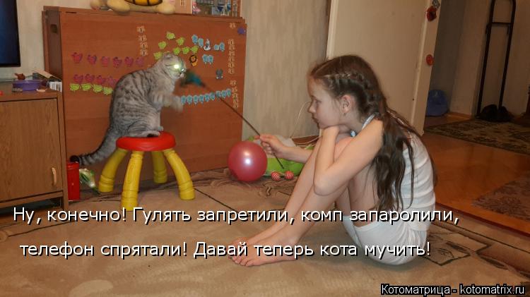 Котоматрица: Ну, конечно! Гулять запретили, комп запаролили,  телефон спрятали! Давай теперь кота мучить!