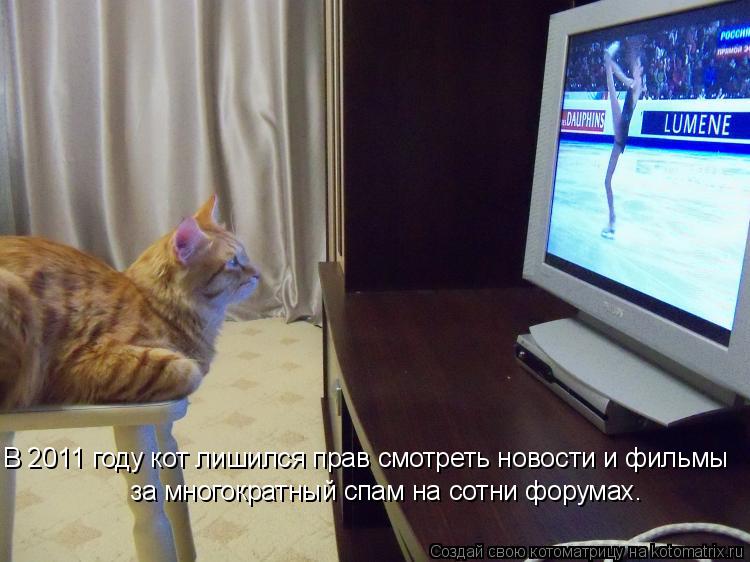 Котоматрица: В 2011 году кот лишился прав смотреть новости и фильмы за многократный спам на сотни форумах.