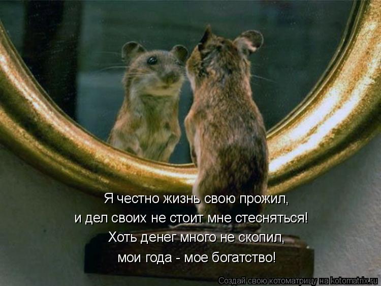 Котоматрица: Хоть денег много не скопил, мои года - мое богатство! Я честно жизнь свою прожил, и дел своих не стоит мне стесняться!