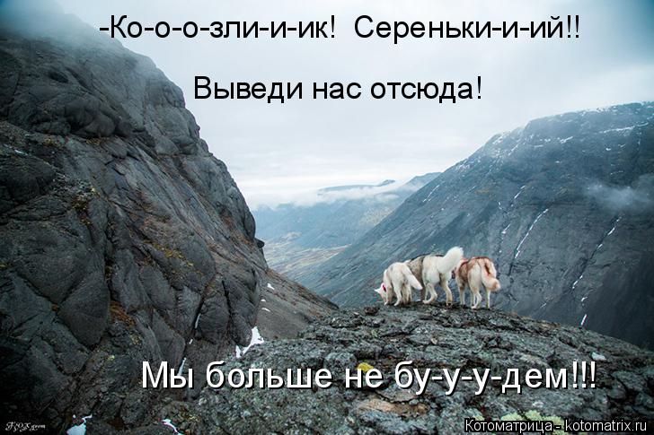 http://kotomatrix.ru/images/lolz/2015/05/19/kotomatritsa_3.jpg
