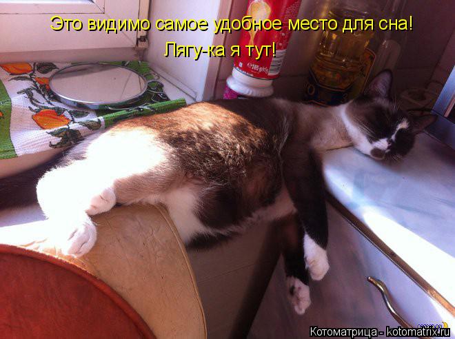 Котоматрица: Это видимо самое удобное место для сна! Лягу-ка я тут!