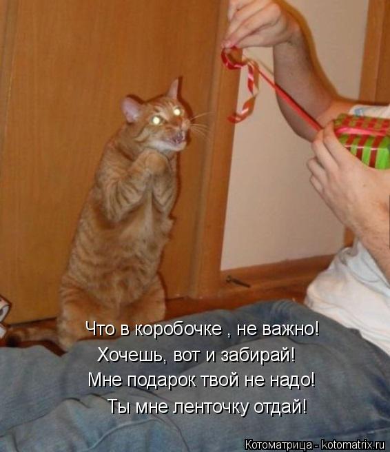 Котоматрица: Ты мне ленточку отдай! Что в коробочке , не важно! Хочешь, вот и забирай! Мне подарок твой не надо!