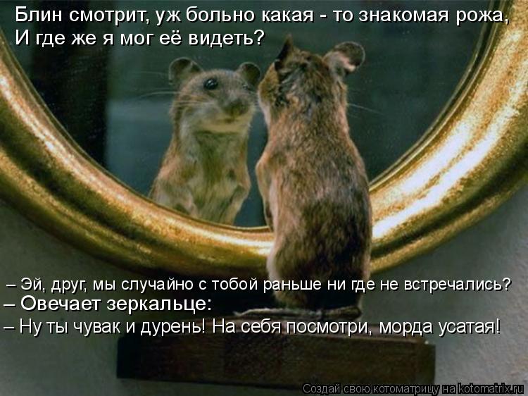 Котоматрица: Блин смотрит, уж больно какая - то знакомая рожа, И где же я мог её видеть? – Эй, друг, мы случайно с тобой раньше ни где не встречались? – Овеч