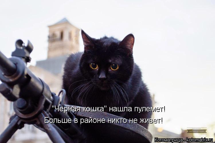 Котоматрица: "Черная кошка" нашла пулемет! Больше в районе никто не живет!