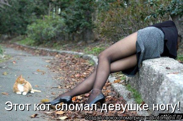 Котоматрица: Этот кот сломал девушке ногу!