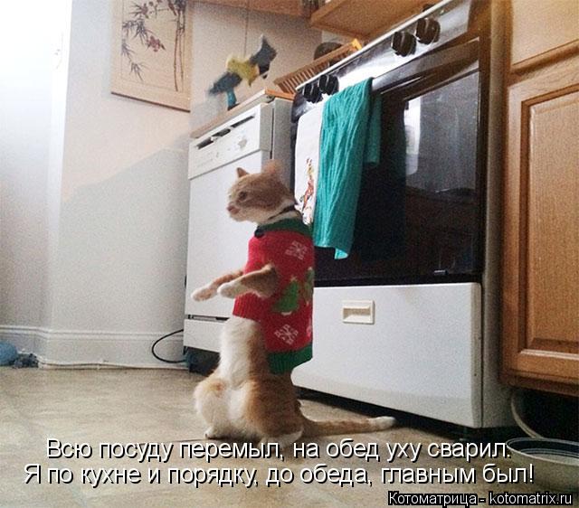 Котоматрица: Я по кухне и порядку, до обеда, главным был! Всю посуду перемыл, на обед уху сварил.