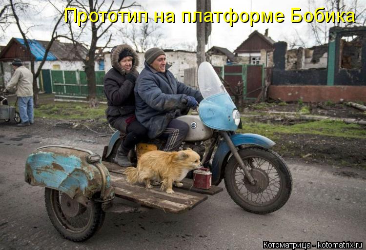 Котоматрица: Прототип на платформе Бобика