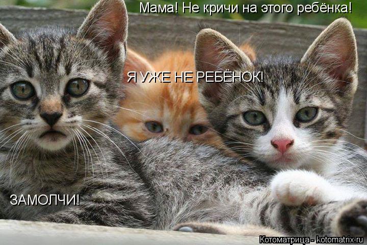 Котоматрица: Мама! Не кричи на этого ребёнка! Я УЖЕ НЕ РЕБЁНОК! ЗАМОЛЧИ!