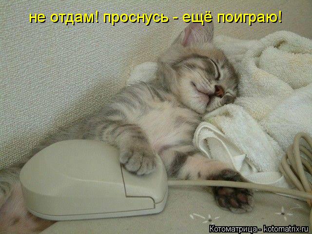 Котоматрица: не отдам! проснусь - ещё поиграю!