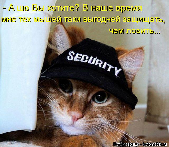 Котоматрица: - А шо Вы хотите? В наше время  мне тех мышей таки выгодней защищать, чем ловить...