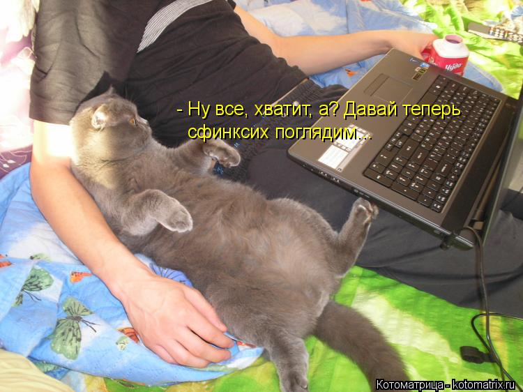 Котоматрица: - Ну все, хватит, а? Давай теперь сфинксих поглядим…