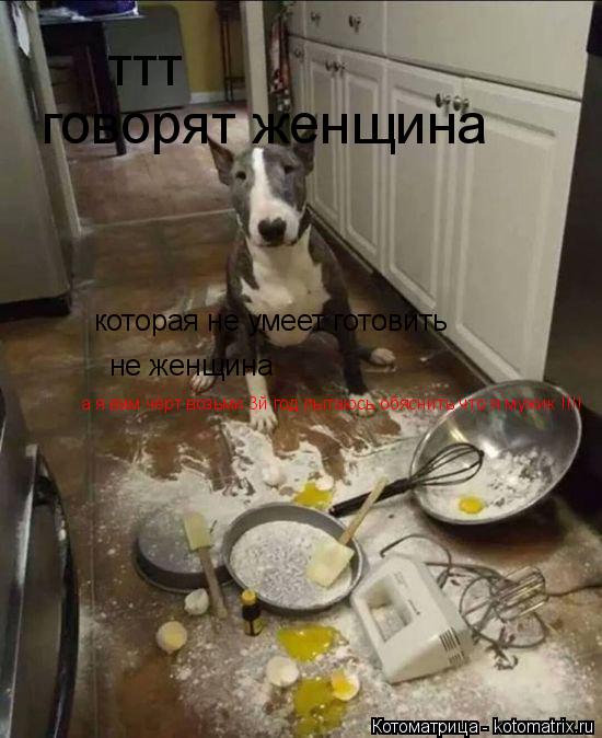 Котоматрица: ттт говорят женщина которая не умеет готовить не женщина а я вам чёрт возьми 3й год пытаюсь обяснить что я мужик !!!!
