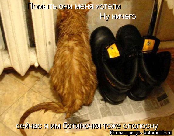 Котоматрица: Помыть они меня хотели Ну ничего  сейчас я им ботиночки тоже ополосну
