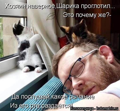 Котоматрица: Хозяин,наверное,Шарика проглотил... Это почему же?- Да послушай,какое рычание  Из его рта раздаётся!
