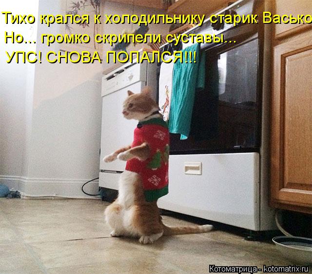 Котоматрица: Тихо крался к холодильнику старик Васько. Но... громко скрипели суставы... УПС! СНОВА ПОПАЛСЯ!!!