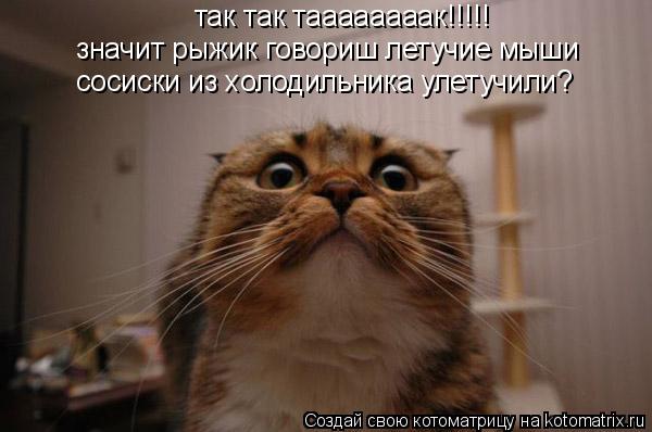 Котоматрица: так так таааааааак!!!!! значит рыжик говориш летучие мыши  сосиски из холодильника улетучили?