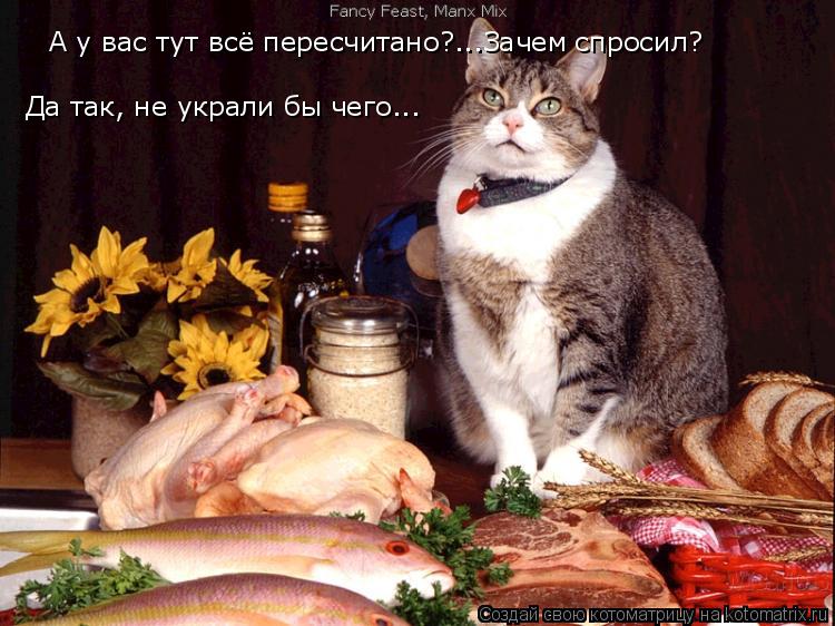 А у вас тут всё пересчитано?...Зачем спросил? Да так, не украли бы чего...... Котоматрица: А у вас тут всё пересчитано?...Зачем спросил? Да так, не украли бы чего...