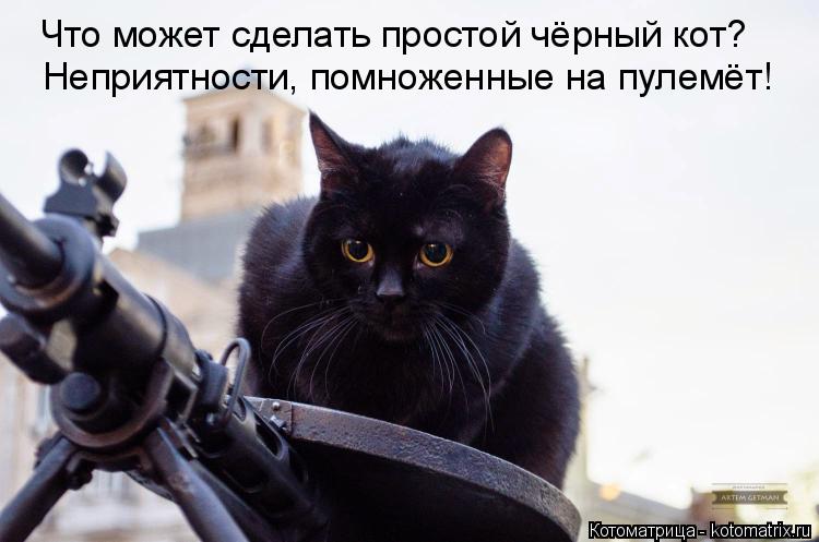 Котоматрица: Неприятности, помноженные на пулемёт! Что может сделать простой чёрный кот?